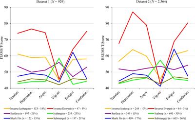 Cross-Cultural Validation of Mood Profile Clusters in a Sport and Exercise Context